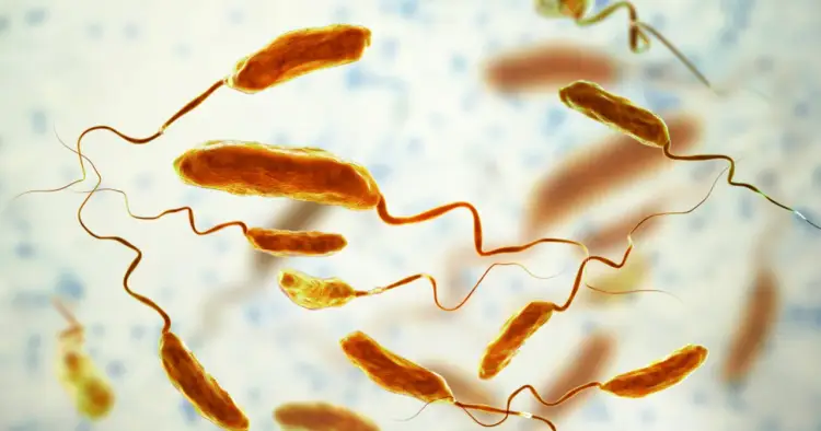 Cholera - objawy, leczenie i profilaktyka, które warto znać
